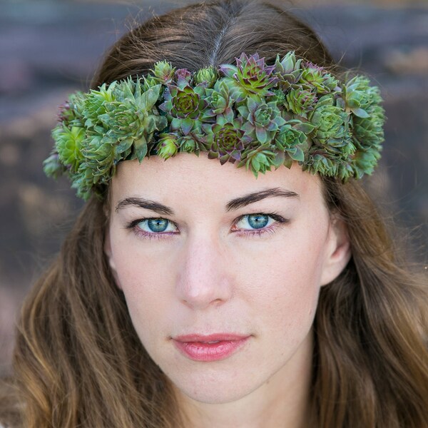 Living Succulent Crown