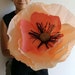 see more listings in the Giant paper flower section