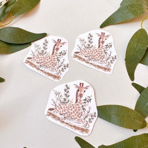 May include: Three watercolor illustrations of baby giraffes in a grassy setting. Each giraffe is lying down with its head up, looking at the viewer. The illustrations are on a white background.