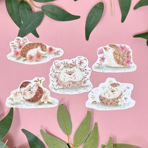 Hedgehog Stickers - Sakura Sticker Pack- Vinyl Stickers -Birthday Party -Hedgehog Gift Idea -Kawaii - Scrapbook Stickers - Planner Stickers