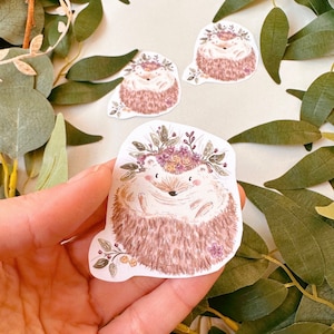 Botanische egel sticker - egel stickerpakket - vinylstickers - egel cadeau-idee - kawaii - plakboekstickers - plannerstickers