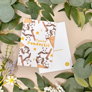 Cartão Postal Panda Sorvete - Postal Ilustrado - Postal Fofo - Postal Floral - Postal A6 - Decoração de Casa - Motivacional - Postal Animal