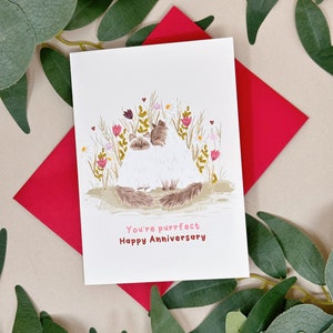 Carte d'anniversaire de chat - carte d'anniversaire de chat Ragdoll - carte d'anniversaire de chat mignon - carte d'animal - carte botanique mignonne - anniversaire de t'aime