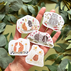 Può includere: Cinque adesivi colorati con illustrazioni di cavie in varie pose e ambientazioni. Gli adesivi sono su una mano su uno sfondo verde.