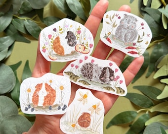 Guinea Pig Sticker - Sticker Pack- Vinyl Stickers - Birthday Party - Animal Gift Idea - Kawaii - Scrapbook Stickers - Planner Stickers