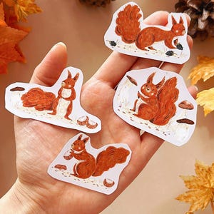 May include: Four illustrated stickers featuring red squirrels in various poses. The stickers are on a white background and feature brown mushrooms and acorns.