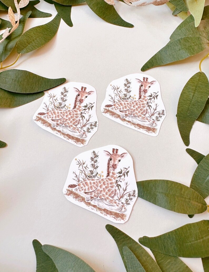 May include: Three watercolor illustrations of baby giraffes in a grassy setting. Each giraffe is lying down with its head up, looking at the viewer. The illustrations are on a white background.