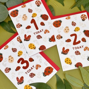 Cartão de aniversário da idade joaninha - Cartão infantil fofo - Cartão de primeiro aniversário - 1º cartão - 2º cartão - Cartão de aniversário infantil - Cartão de bug