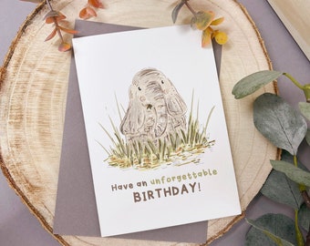 Elephant Birthday Card - Elephant Card - Birthday Card - Elephant Card - Cute Elephant Card - Elephant Lover -Elephant- Safari Birthday Card