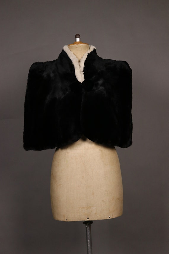 1940's Black and White Beaver Capelet - image 5