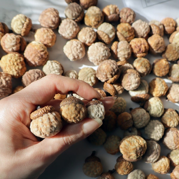 Set 100 small velvet fabric acorns with real caps - bulk set brown orange yellow soft acorns