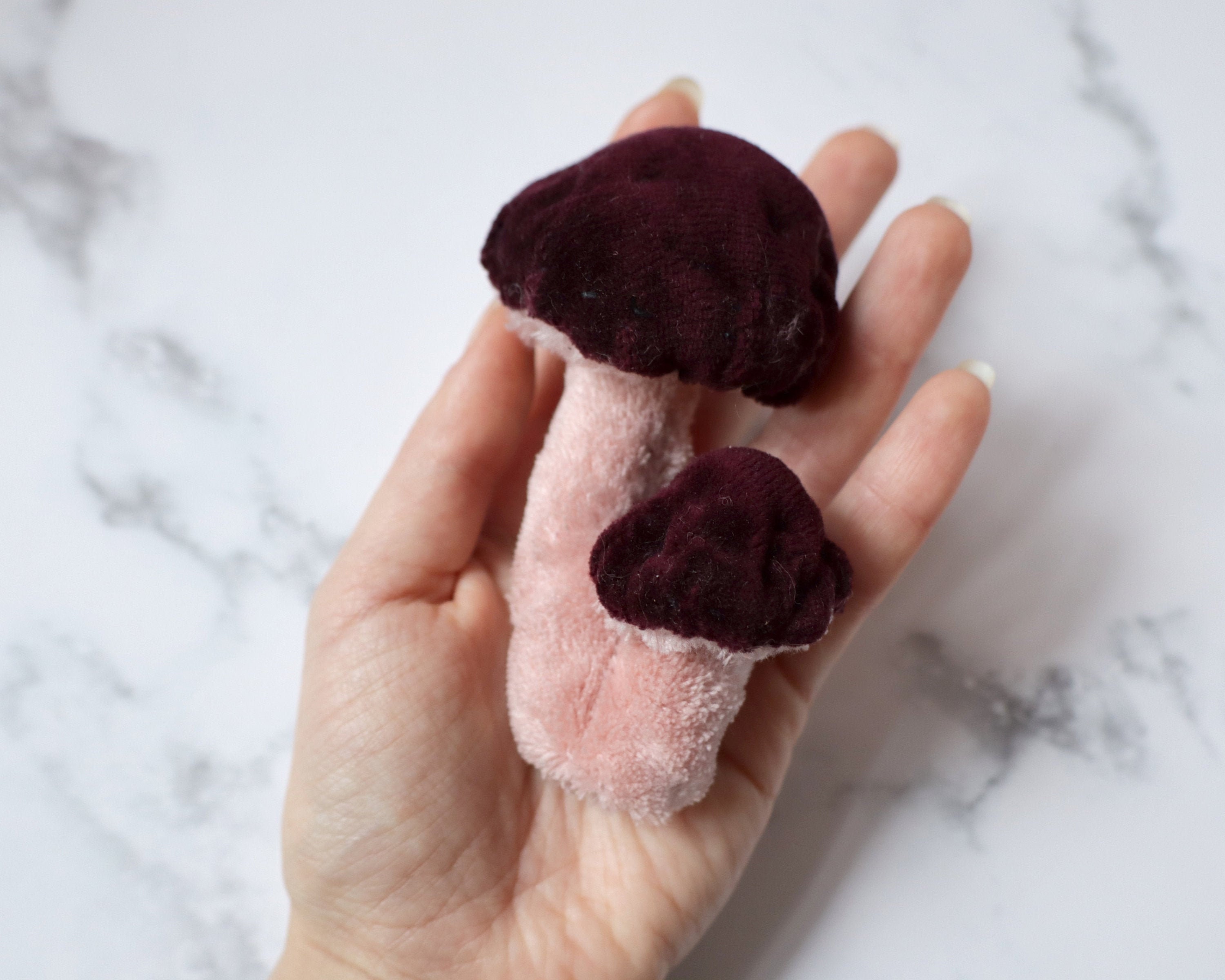 Champignons Velours Rose et Marron