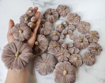 Dusty Pink Velvet 23 Pumpkins & 12 Acorns with gold painted real caps Set