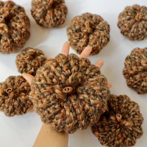 May include: A collection of nine crocheted pumpkins in shades of brown and green with cinnamon sticks for stems.