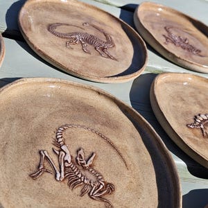 May include: A collection of round, tan-coloured ceramic plates featuring embossed dinosaur skeleton designs in the centre. Each plate has a smooth, glazed surface with subtle variations in tone and a slightly raised, uneven rim edge.
