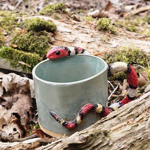 May include: A ceramic mug with a smooth, light blue-green glaze featuring a sculpted snake wrapped around the exterior. The snake has a red, black, and white banded pattern, with its head resting on the rim and its body forming the handle.