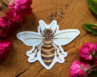 Honeybee Vinyl Stickers and Magnets