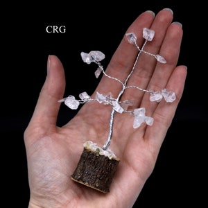 May include: A small crystal tree with clear quartz crystals on silver wire branches. The tree is in a small wooden pot with a bark-like texture.