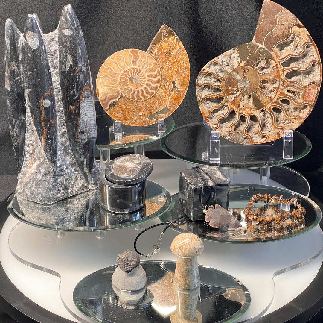 Fossils Crystal Bundle Lot 6 Lbs Bulk Wholesale Gemstone Décor