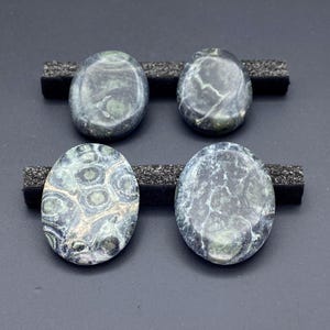 Kambaba jaspis gepolijste cabochons edelsteen sieraden decor groothandel kristal levering