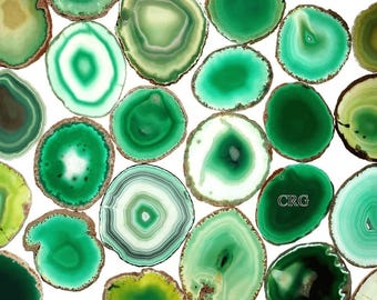 May include: A collection of green agate slices with varying patterns and shades of green. The slices are arranged in a random pattern on a white background.