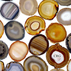 May include: A selection of polished agate slices in shades of brown, yellow, grey, and white. Each slice showcases distinctive patterns and concentric rings, with some displaying a central crystal formation. The slices are set against a bright white backdrop.