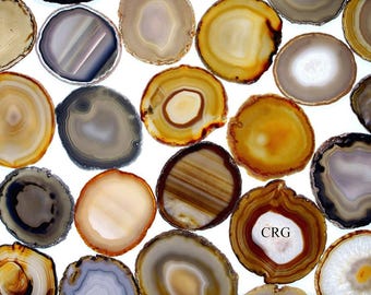 Natural Agate Slice Size #4 (4 To 4.5 Inches) (1 Piece)