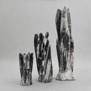 Fossil Stone Vase - Etsy
