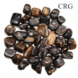 Stromatolite Tumbled (Size 20 to 35 mm) Bulk Wholesale Lot Crystals Minerals