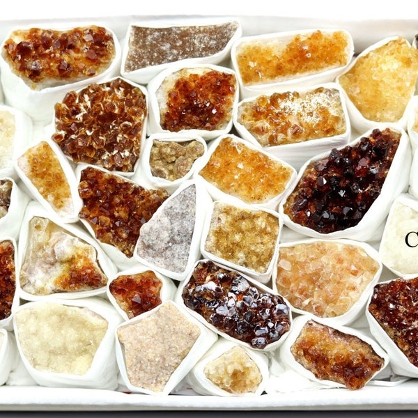 Citrine Multicolored Druzy Medium Flat (1 Flat) Size 1 to 2.5 Inches Bulk Wholesale Lot Crystal Gemstones