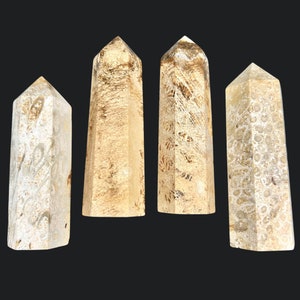 Coral Jade Points (1 Pound) (2.5 to 3.5 Inches)