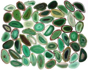 Green Agate Slice (Size #0) (2 to 3 inches) Grade A Brazilian Agate Geode Slice Wholesale Crystals