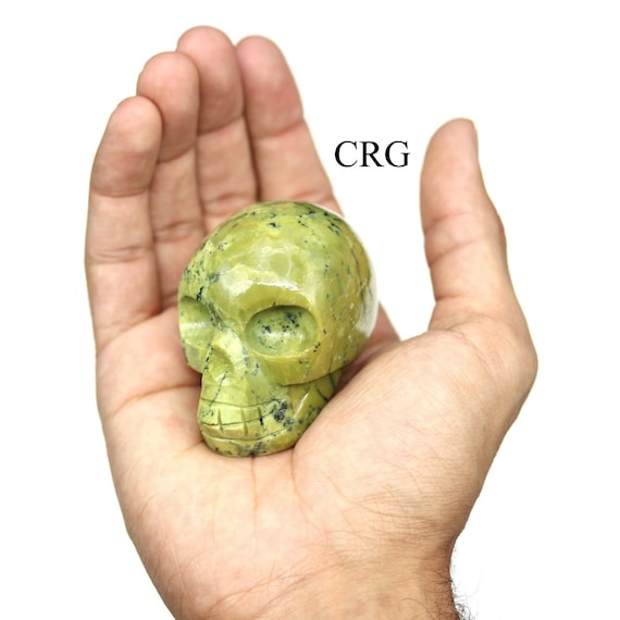 Serpentine Skull (1 Piece) Size 45 to 55 Mm Crystal Gemstone Head