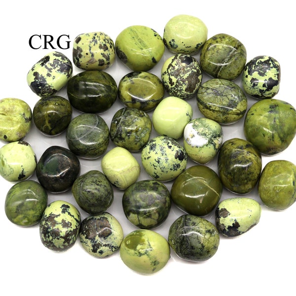 Serpentine Tumbled Pieces (Size 25 to 35 mm) Crystals Minerals Gemstones