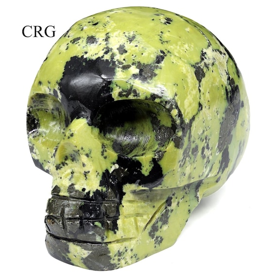 Serpentine Skull (1 Piece) Size 45 to 55 Mm Crystal Gemstone Head