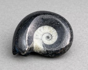 現在、この商品の在庫はありません - Etsy