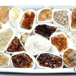 May include: A collection of 15 small, raw, natural citrine crystals in various shades of yellow and brown, wrapped in white tissue paper and displayed in a white box. The box has the text "CRG" printed on the bottom.