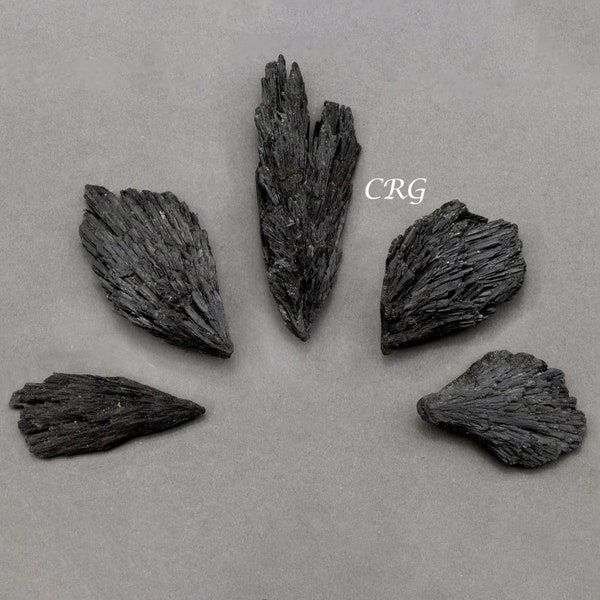 Black Kyanite Rough Pieces (Size 2 to 4 Inches) Raw Crystals Minerals Gemstones