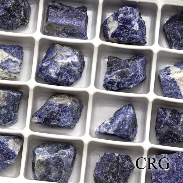 Rough Sodalite Boxed Flat (24 Piece Flat) (1.2 to 1.5 Inches) Bulk Wholesale Crystals Minerals Gemstones