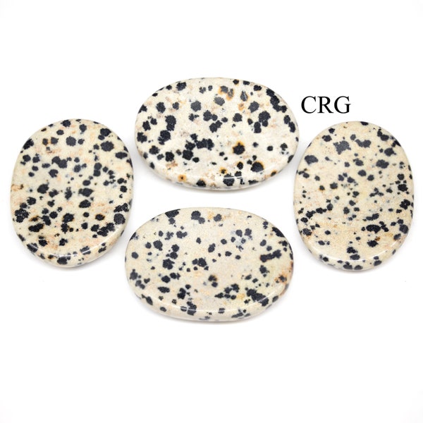 SET OF 4 - Dalmatian Jasper Worry Stone with Thumb Indent   1" AVG