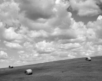 landscape, black an wnithe