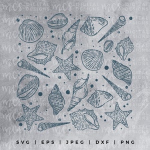 May include: A digital illustration of various seashells and starfish in a circular pattern on a gray background. The shells are drawn in a detailed, vintage style with a blue-gray color.