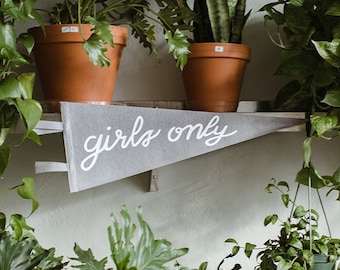 May include: A gray pennant banner with white cursive text that reads "girls only" hanging on a shelf with potted plants.