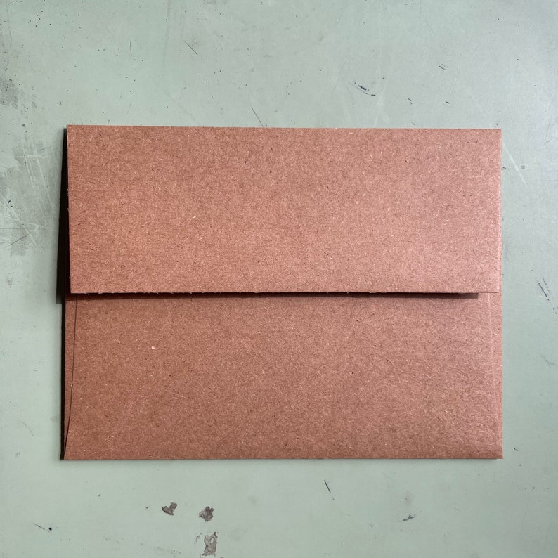 May include: A brown paper envelope with a flap.