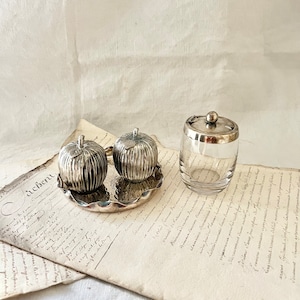 Może przedstawiać: Dwa srebrne solniczki i pieprzniczki w kształcie jabłek na srebrnej tacy z szklanym słoikiem ze srebrną pokrywką.