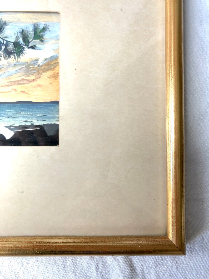 May include: A framed watercolour painting of a seascape with a pine tree in the foreground and a blue sky with clouds in the background.