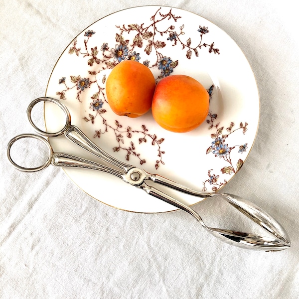 Pince à gâteau en métal argenté