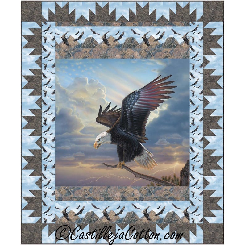 Winged Quilt Pattern Eagle Landing Panel Quilt Pattern PDF Quilt Pattern-diane Mcgregor ...