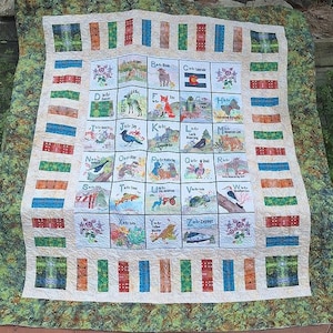 May include: A colorful quilt with an alphabet theme, featuring embroidered squares with letters and corresponding images of animals and objects. The quilt has a green and cream border with a plaid pattern and measures approximately 60 x 60 inches.