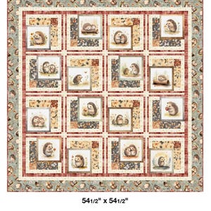 May include: A patchwork quilt titled "Framed Cuties" featuring sixteen square panels with watercolor illustrations of hedgehogs. The quilt measures 54.5 inches by 54.5 inches and has a border with a repeating pattern of leaves and flowers.